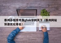 泰州小程序开发gtok华网天下（泰州网站快速优化排名）