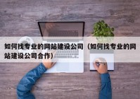 如何找专业的网站建设公司（如何找专业的网站建设公司合作）