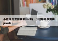 小程序开发需要会vue吗（小程序开发需要java吗）