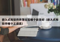 嵌入式和软件开发以后哪个前景好（嵌入式和软件哪个工资高）